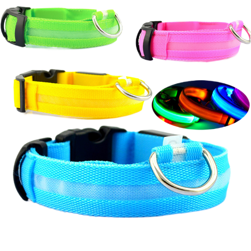 NightBright LED Dog Collar - Safety and Style for Night Walks