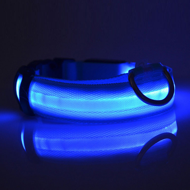 Flashing LED dog collar