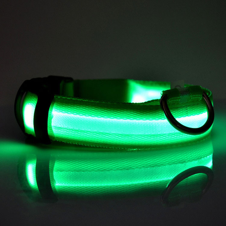 Flashing LED dog collar